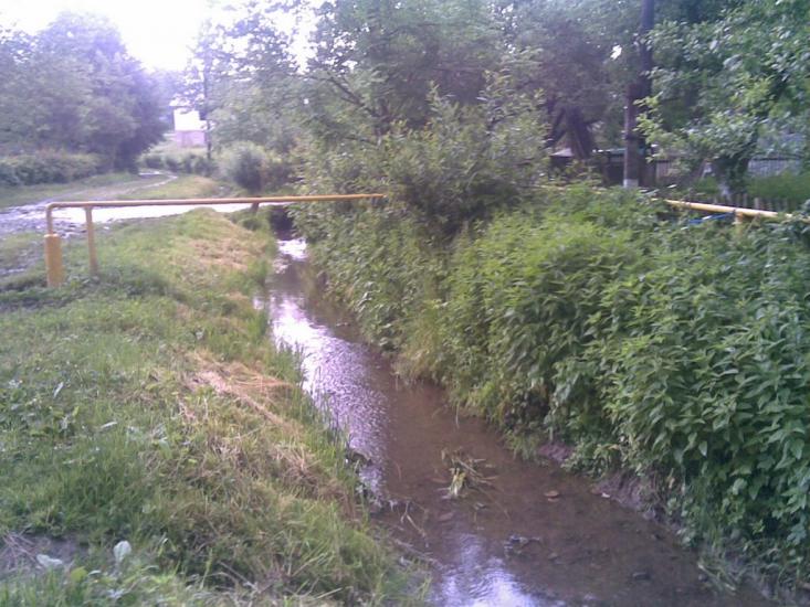 Перевозець з panoramio.com - Перевозець