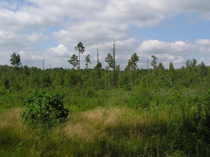 Горщик з panoramio.com - Горщик