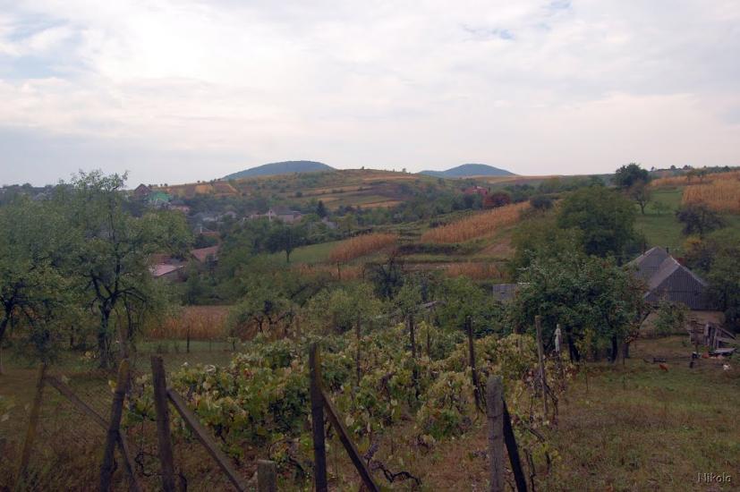Нижнє Солотвино з panoramio.com - Нижнее Солотвино