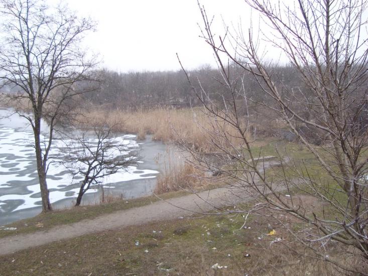 Созонівка з panoramio.com - Созоновка