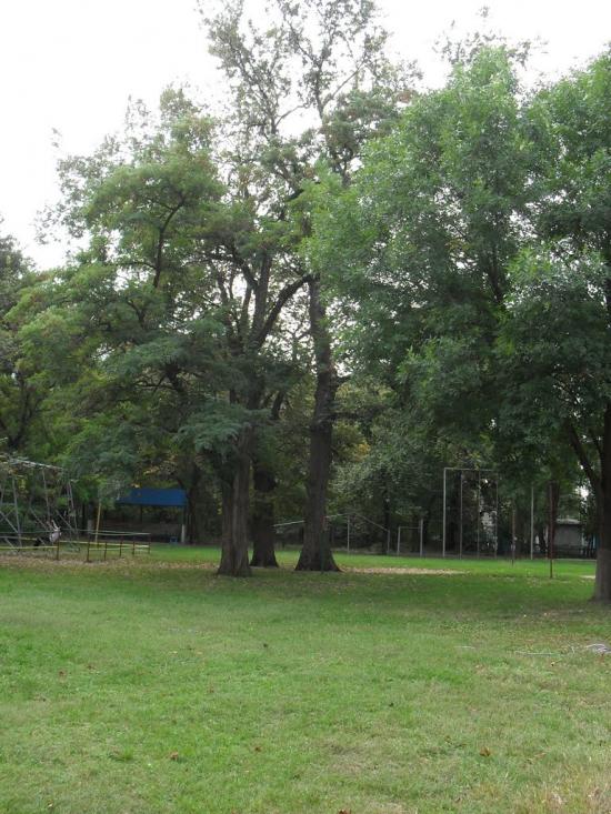Времівка з panoramio.com - Времівка