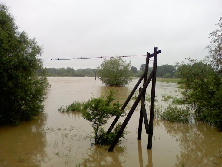 Негівці з panoramio.com - Негівці