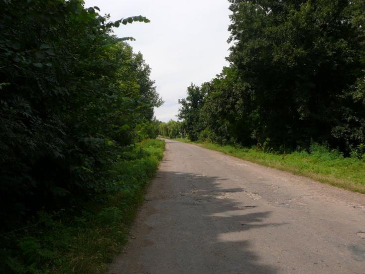 Миколаївка з panoramio.com - Миколаївка