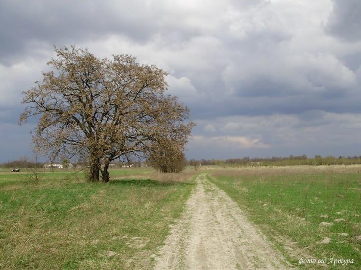 Звози з panoramio.com - Звозы