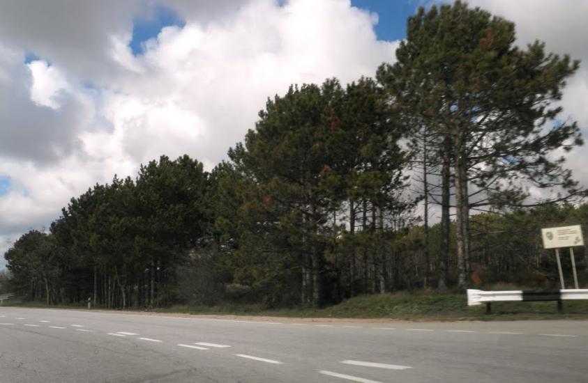 Інкерман з panoramio.com - Инкерман