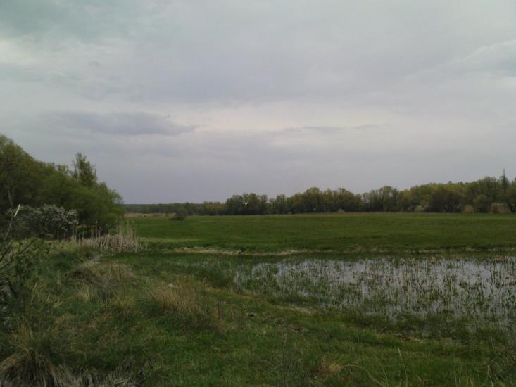 Нижній Бишкин з panoramio.com - Нижній Бишкин