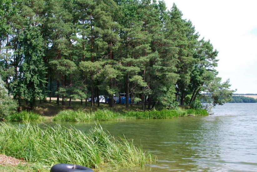 Степашки з panoramio.com - Степашки