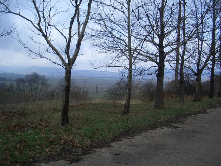 Орлине з panoramio.com - Орлине
