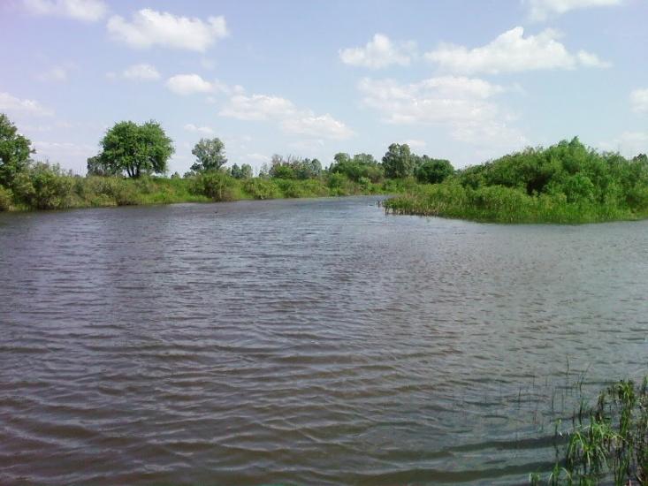 Коленці з panoramio.com - Коленці