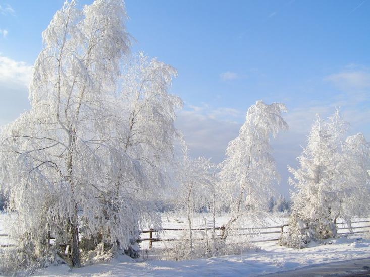 Міжгір'я з panoramio.com - Міжгір'я