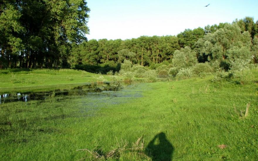 Брусилів з panoramio.com - Брусилів