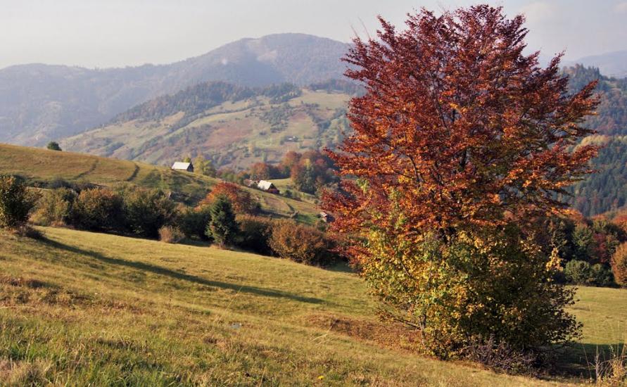 Міжгір'я з panoramio.com - Межгорье