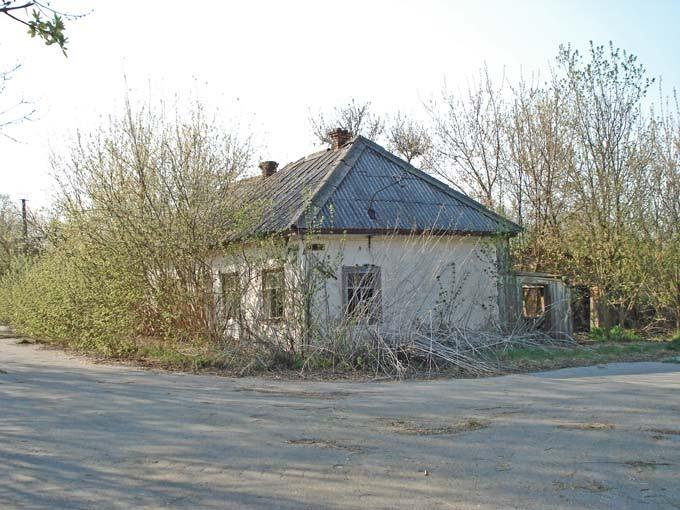 Нівецьке з panoramio.com - Нивецкое