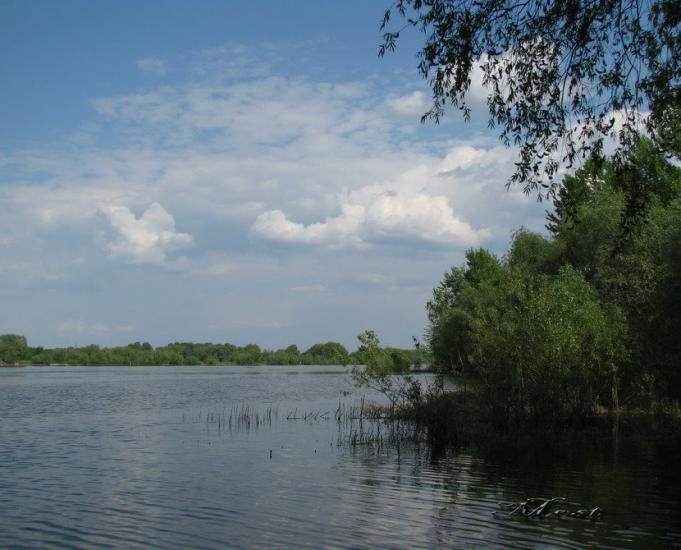 Осещина з panoramio.com - Осещина