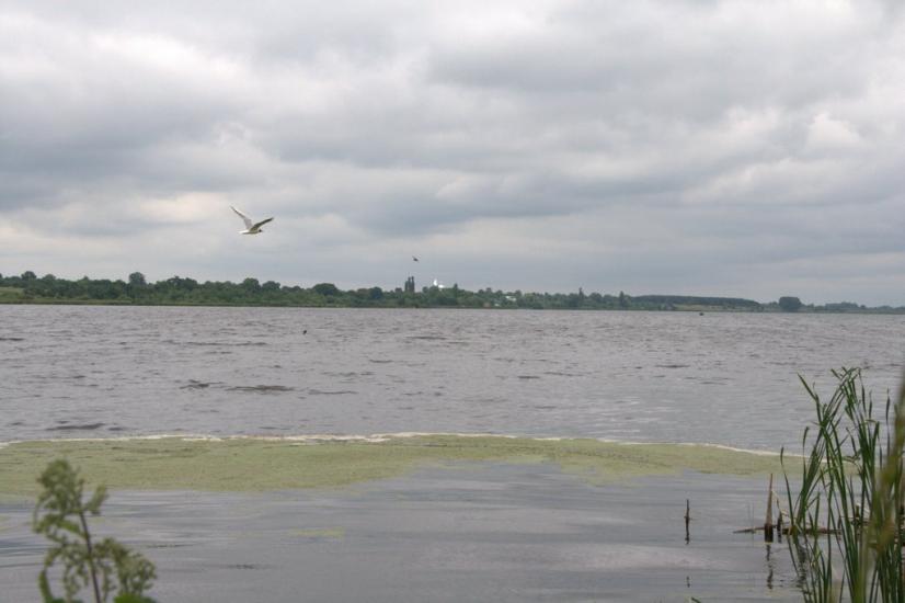 Головчинці з panoramio.com - Головчинцы
