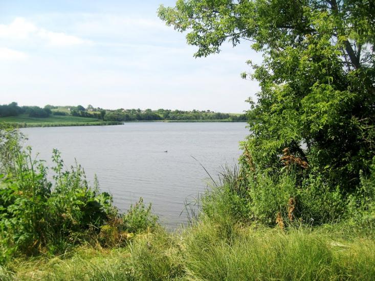 Грузьке з panoramio.com - Грузьке