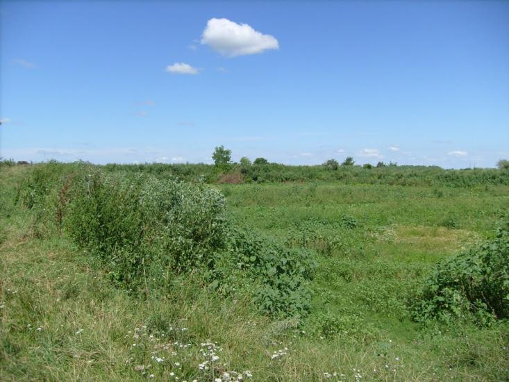 Браїлів з panoramio.com - Браилов
