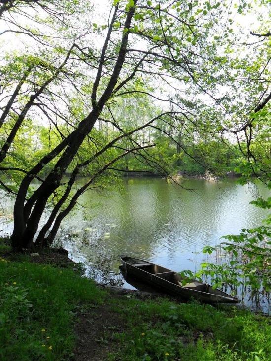 Крива Лука з panoramio.com - Крива Лука