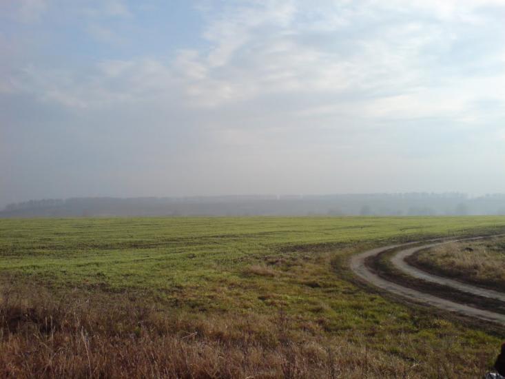 Лугове з panoramio.com - Лугове