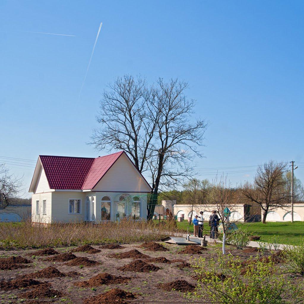 Осіч з panoramio.com - Osich