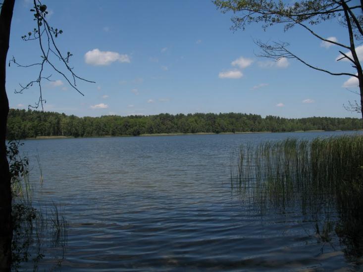 Піски-Річицькі з panoramio.com - Pisky-Richytski