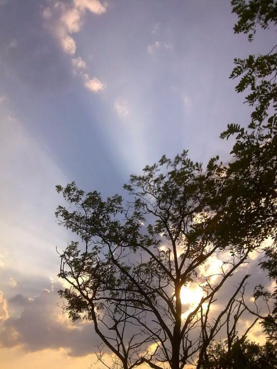 Підстепне з panoramio.com - Підстепне