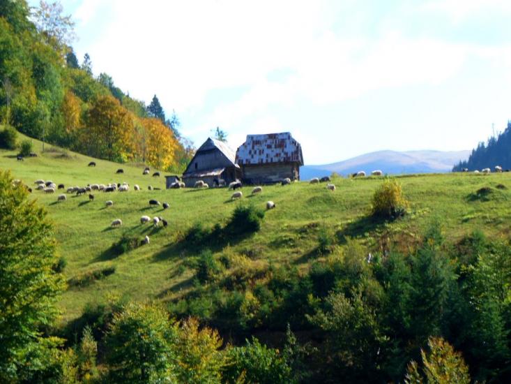 Лопухів з panoramio.com - Лопухов