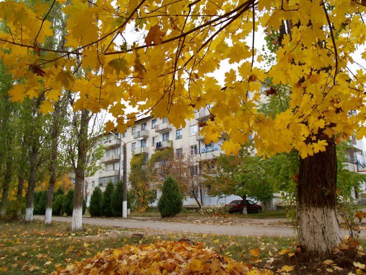Римарівка з panoramio.com - Римаровка