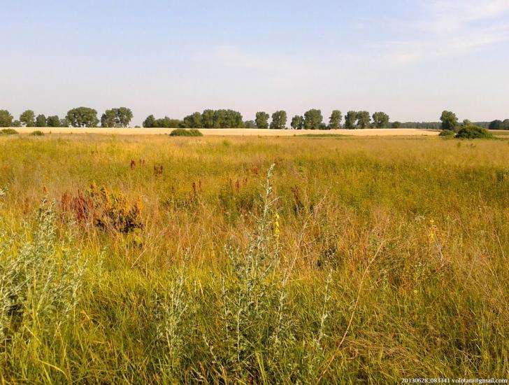 Переяслівка з panoramio.com - Переяслівка