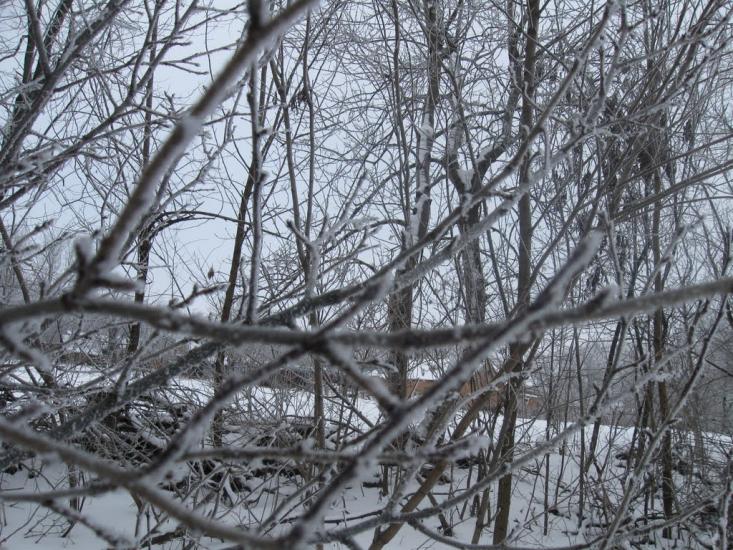 Криштопівка з panoramio.com - Крыштоповка