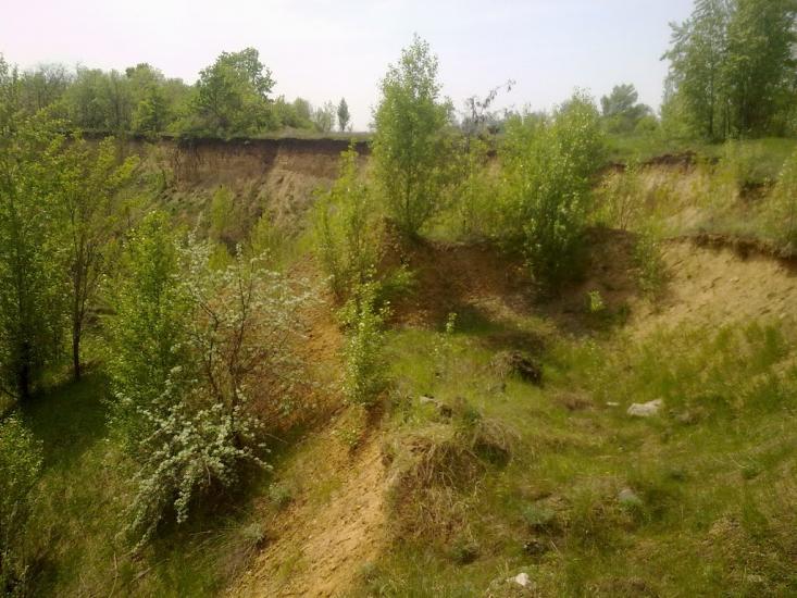 Стара Гнилиця з panoramio.com - Старая Гнилица
