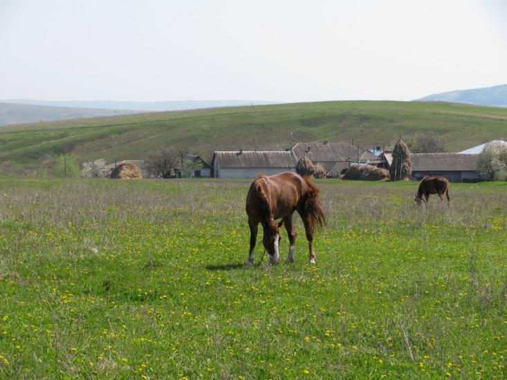 Мечищів з panoramio.com - Mechyschiv