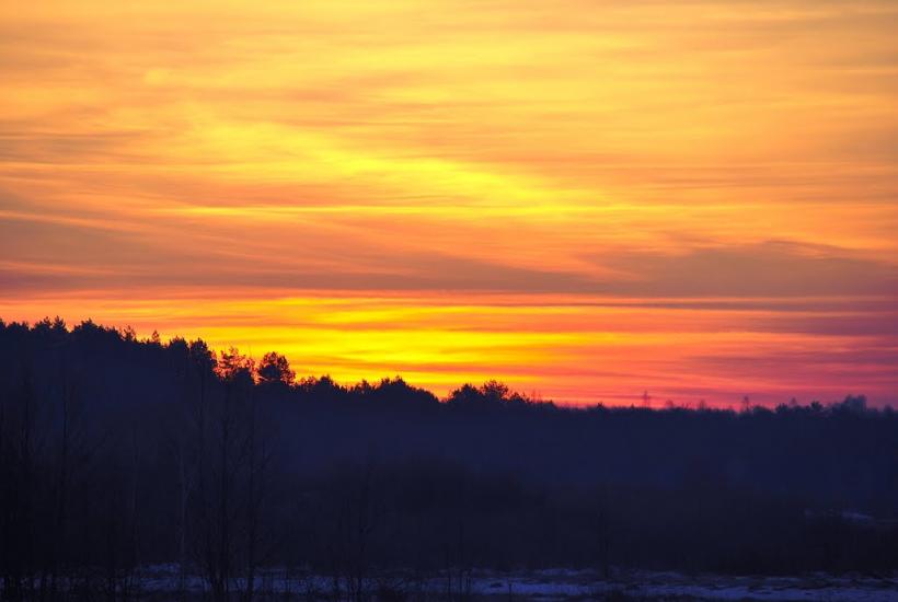 Адамчуки з panoramio.com - Адамчуки