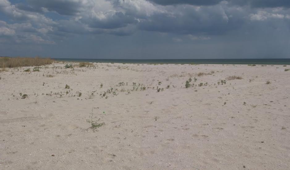 Степанівка Перша з panoramio.com - Степанівка Перша