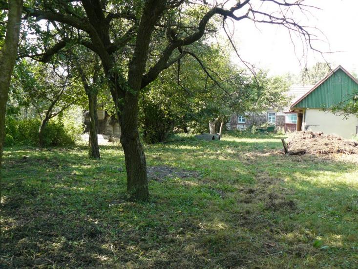 Меленці з panoramio.com - Меленцы