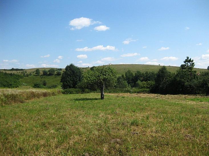 Маріямпіль з panoramio.com - Mariyampil