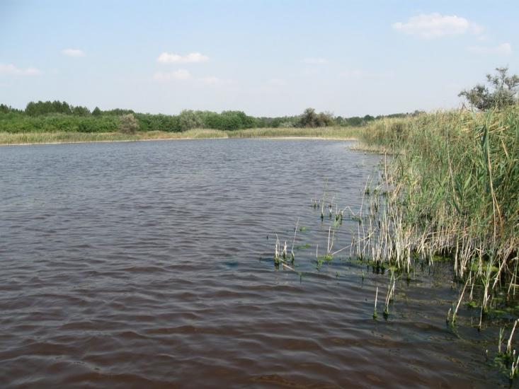 Раденськ з panoramio.com - Radensk