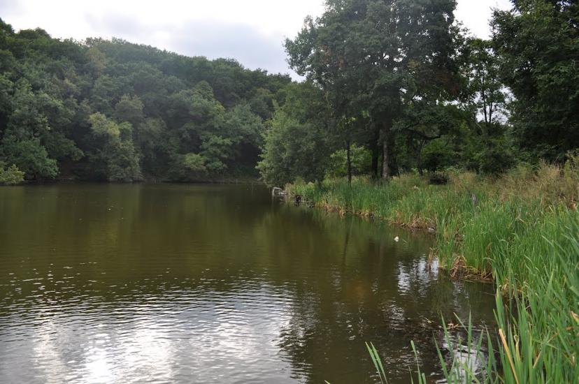 Шабельківка з panoramio.com - Шабельківка