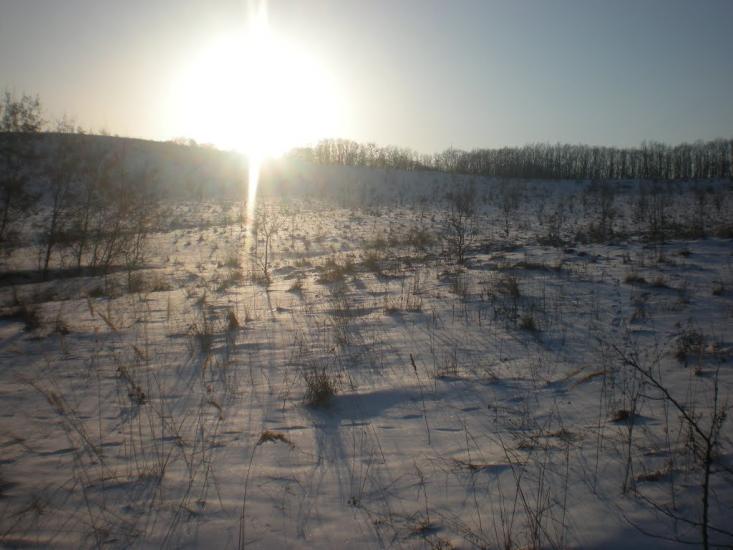 Великі Будища з panoramio.com - Великие Будища
