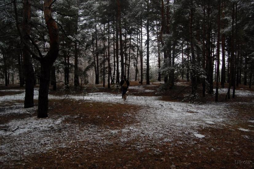 Воронове з panoramio.com - Вороново