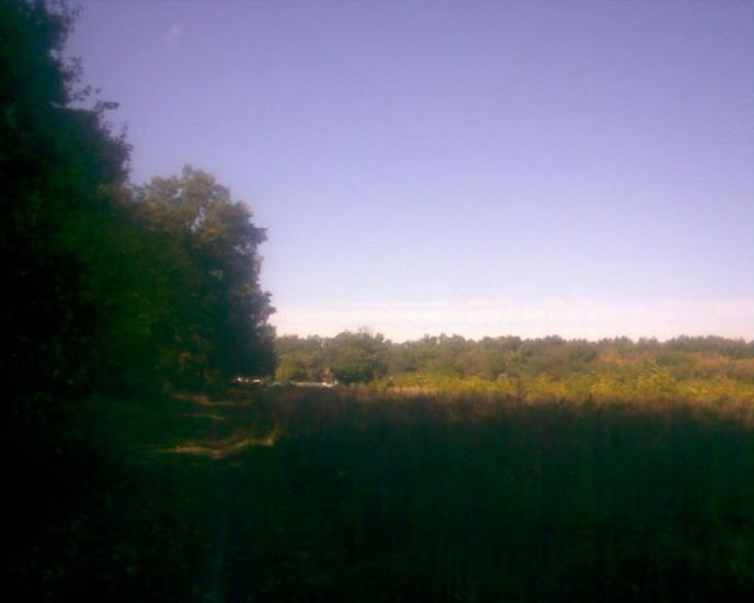 Сухоліси з panoramio.com - Sukholisy