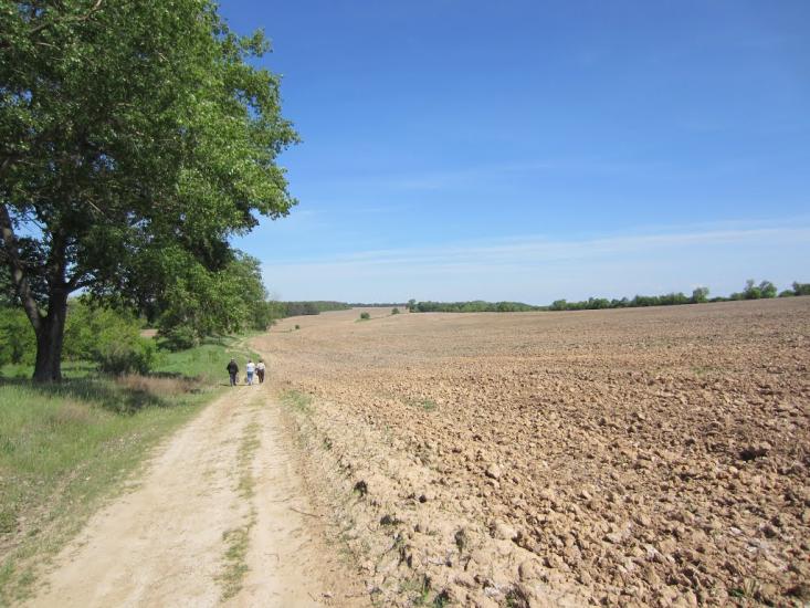 Ротівка з panoramio.com - Ротівка