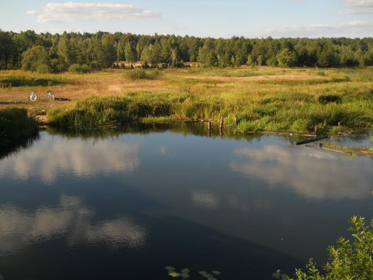 Струмок з panoramio.com - Струмок