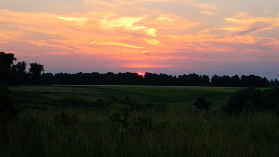 Красноліси з panoramio.com - Красноліси