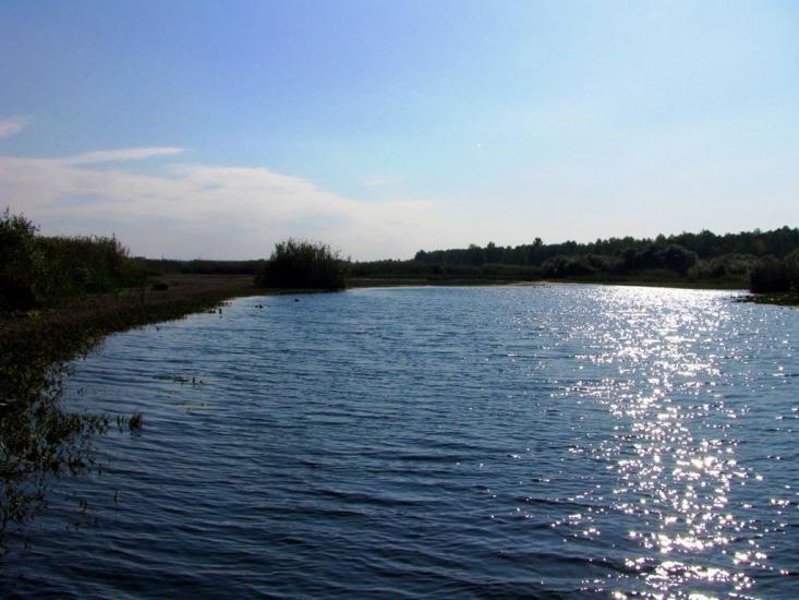 Дігтярі з panoramio.com - Дігтярі