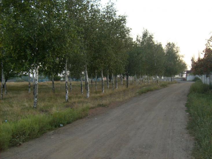 Мала Виска з panoramio.com - Малая Виска
