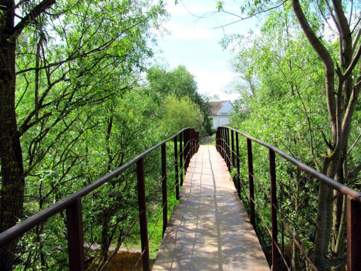 Сарни з panoramio.com - Сарни