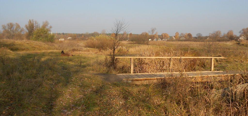 Кобижча з panoramio.com - Кобижча