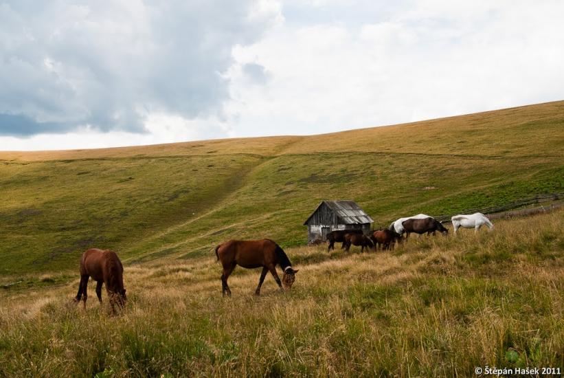 Білин з panoramio.com - Білин