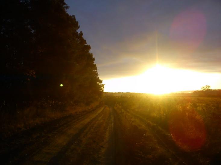 Сизе з panoramio.com - Сизое